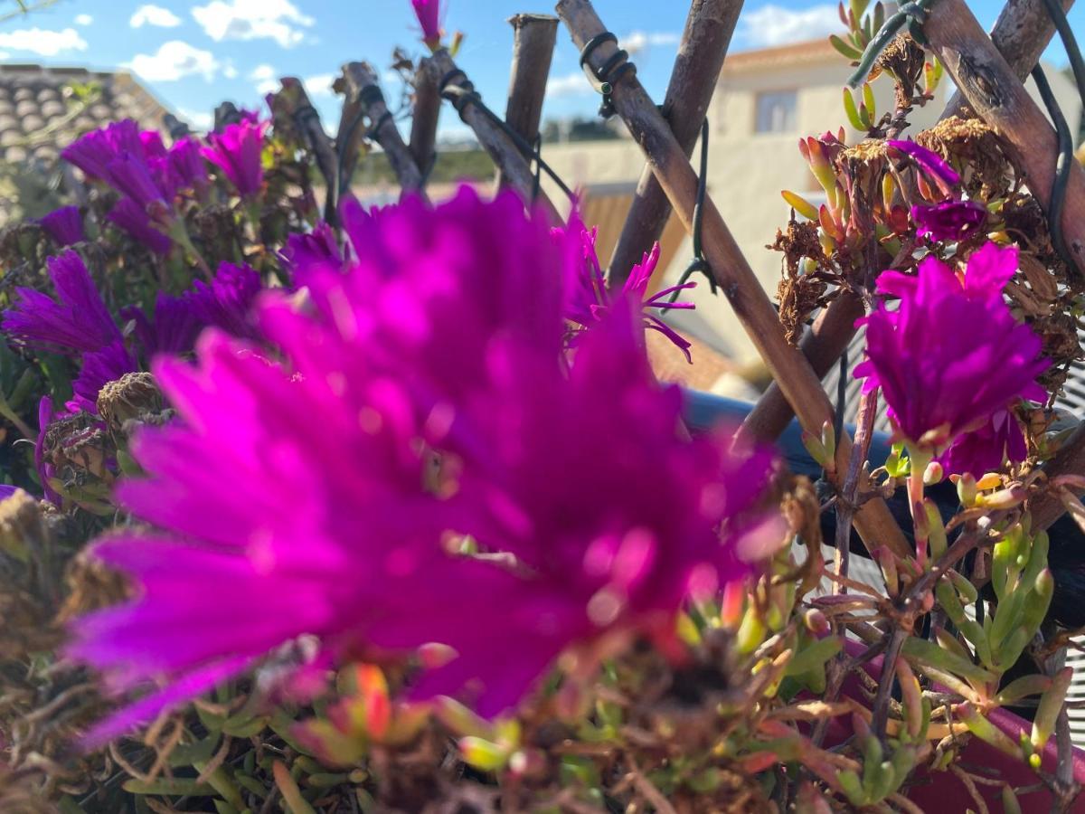Sol Mediterraneo Algarrobo Costa Dış mekan fotoğraf